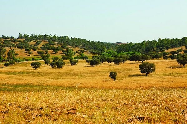 © Turismo do Alentejo