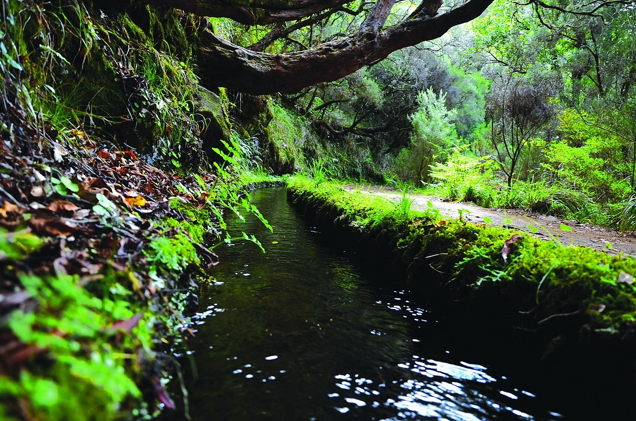 © Turismo da Madeira